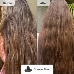 Water Filter Family Bundle