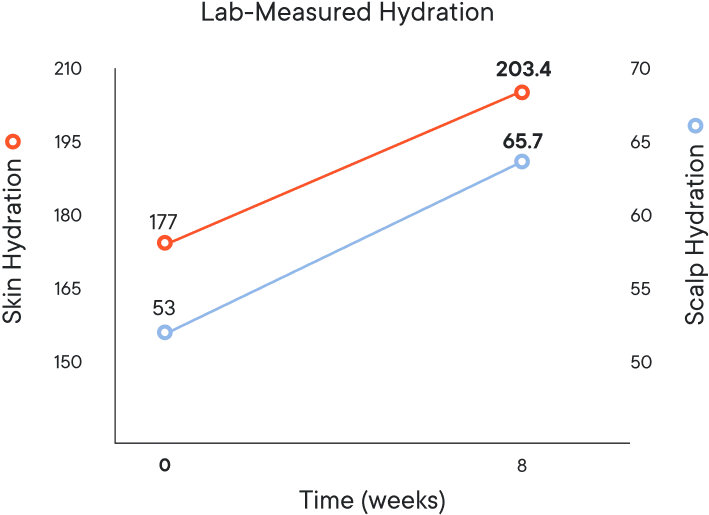 files/graph_after.webp